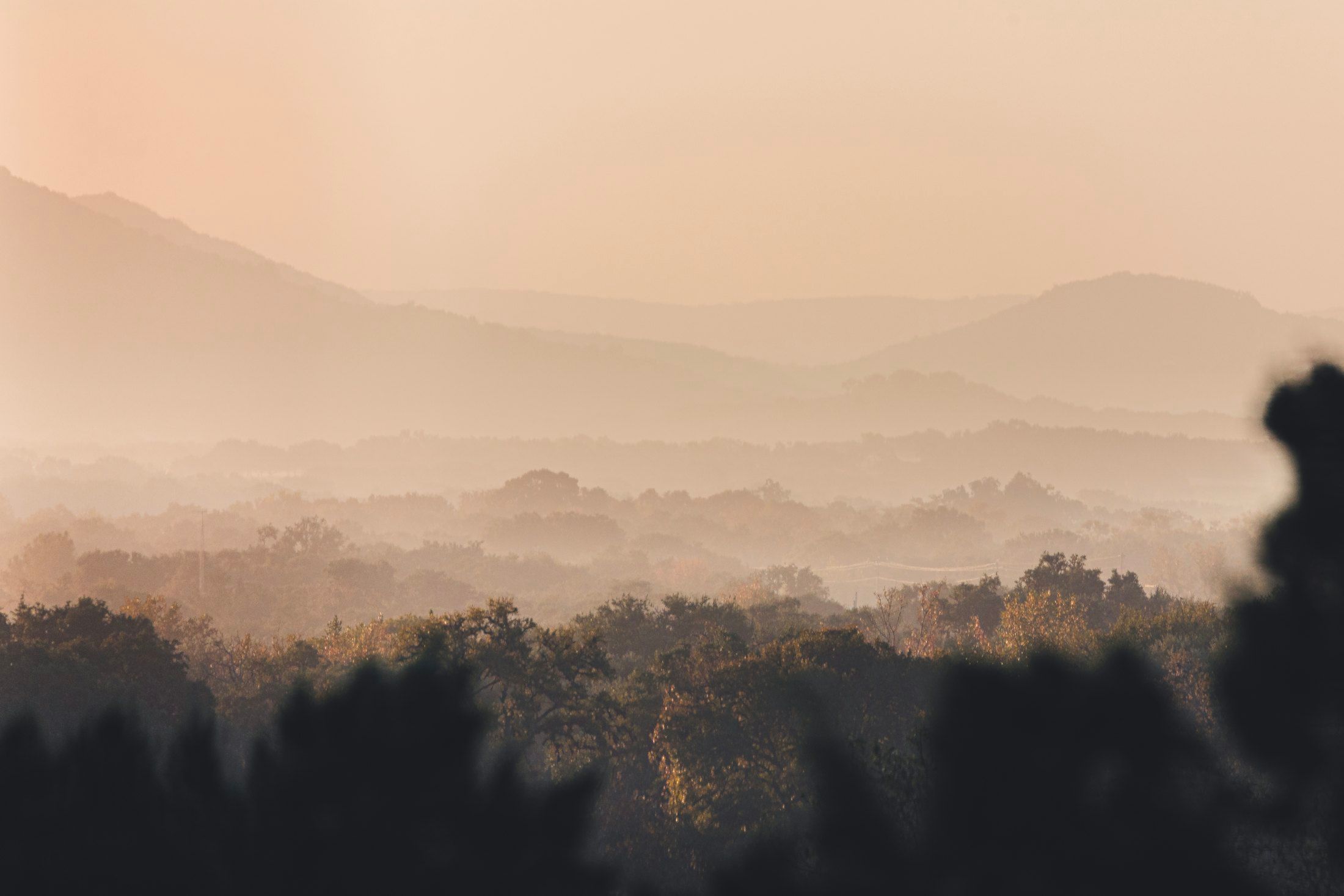 Morning fog over wooded Texas hill country.